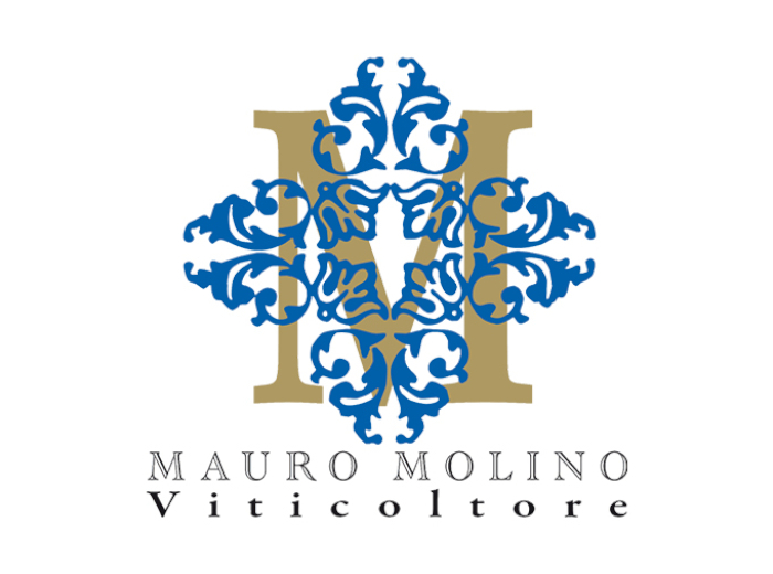 Mauro Molino logo image